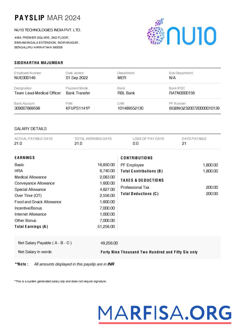 Realistic NU10 Technologies India payslip download for verification